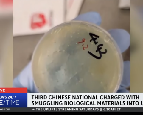 pathogen smuggled by Chinese citizen